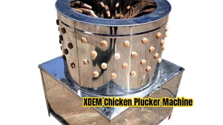 XDEM 業務用鶏摘み機 60 バレル ステンレス鋼 家禽脱毛器 鶏アヒル用