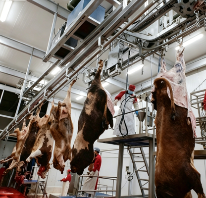 Stainless Steel Slaughtering Equipment with PLC Control and GB Standard for Efficient Meat Processing