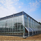 プレハブの軽い鉄骨構造の農業の野菜温室Q235 ISO9001