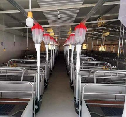 Corrosion Resistant Powder Coated Livestock Equipment with Rounded Edges for Safe Farm Tools