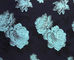 花の生地のジャカードTC Yarn-dyed H/R 21.0cm 460T/83%T/17%C/185gsm