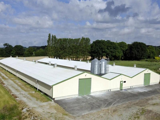 XDEMの鉄骨構造の倉庫の生産の研修会の鶏および養鶏場