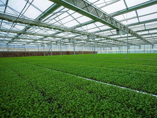 プレハブの軽い鉄骨構造の農業の野菜温室Q235 ISO9001